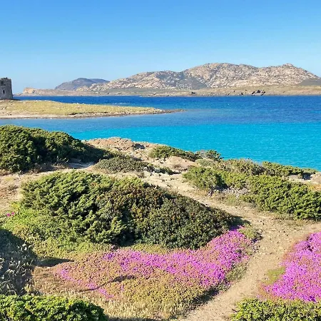 Ida Palace, Nuovo Deluxe Fronte Mare