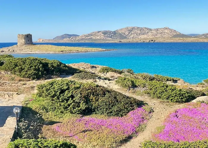 Ida Palace, Nuovo Deluxe Fronte Mare